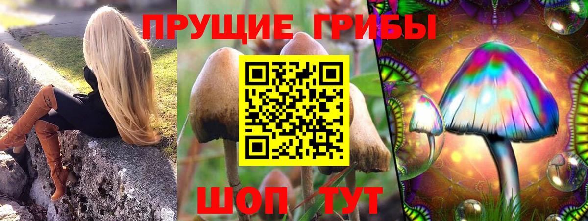 Галлюциногенные грибы GOLDEN TEACHER Орск