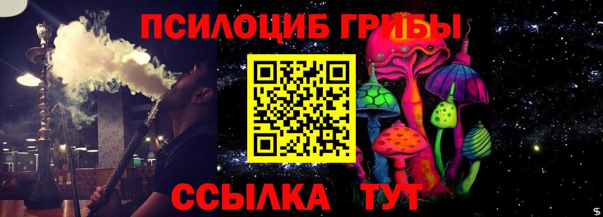 где можно купить наркотик  Вход с VPN  Орск  Псилоцибиновые грибы мухоморы 